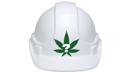 Should Your Company Have a Marijuana in the Workplace Policy?
